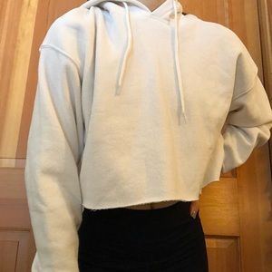 Urban outfitters cropped hoodie